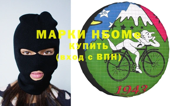 индика Михайлов