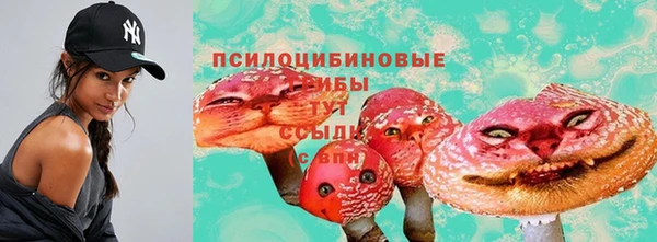 apvp Баксан