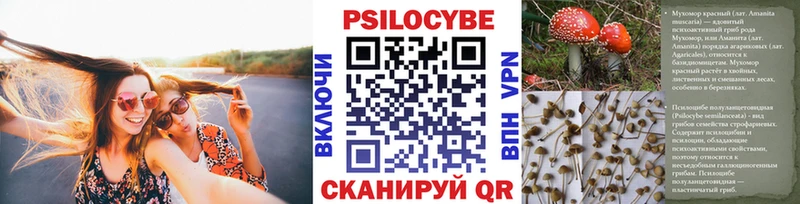 где купить наркоту  Щёкино  Галлюциногенные грибы Magic Shrooms 